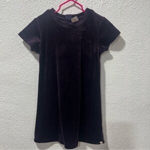 Sovereign codes Kids girls Velvet Purple Dress